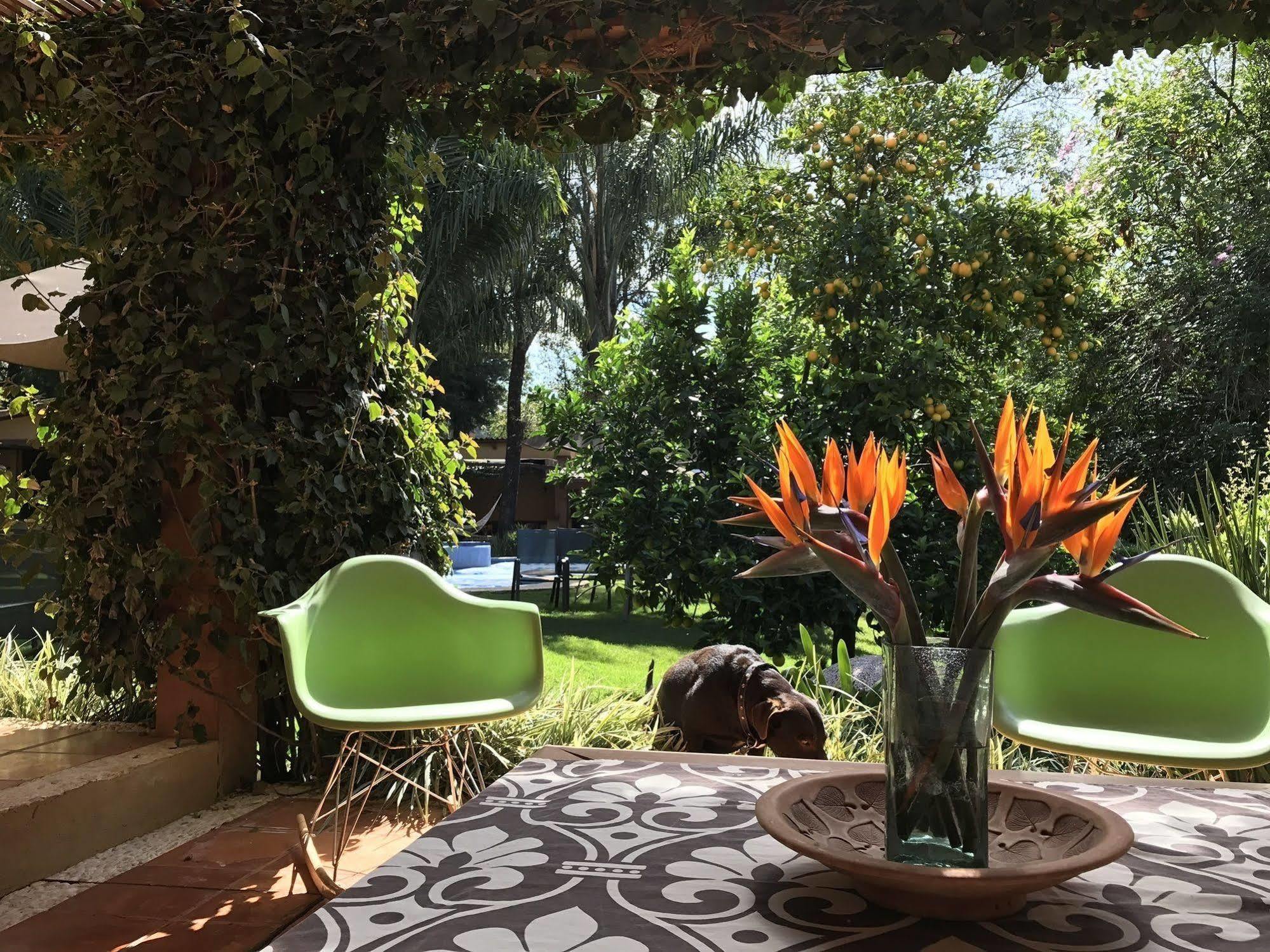La Joya Del Viento Bed & Breakfast Вале де Браво Екстериор снимка
